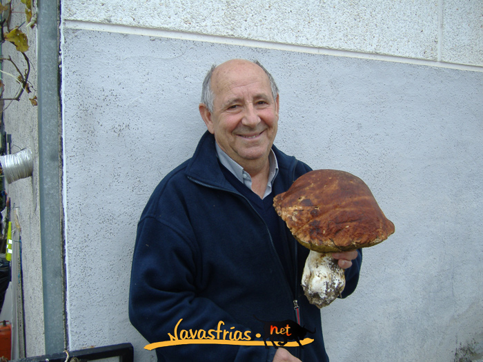 Navasfrias - BOLETUS  ENORME EN NAVASFRIAS