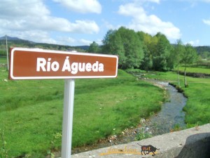 Navasfrias - España y Portugal llevan a cabo un proyecto de investigación sobre más de 40 km sobre el río Águeda