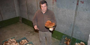 Navasfrias - El pate de hongos de Navasfrias sorprende en la feria agroalimentaria
