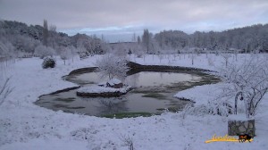 Navasfrias - Video nevada zona recreativa el Bardal y alrededores