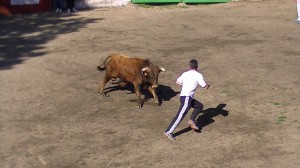 Navasfrias - EL BODON  FIESTAS DE SANTA CRUZ 2013