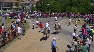 Navasfrias - Navasfrias San Juan 2013, encierro sabado