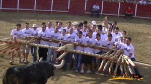 Navasfrias - Encierro Soito 2014