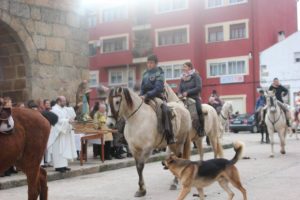 Navasfrias - Procesión San Anton patrón animales