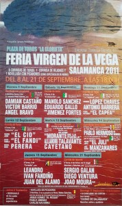 Salamanca 2011 fiestas virgen de la vega
