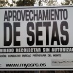 NUEVA SEÑAL DE TRAFICO EN NAVASFRIAS