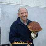 Boletus énormes Navasfrías