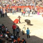 Ciudad Rodrigo, Carnaval taureau, Affiches tauromachie festivals samedi et mardi gras