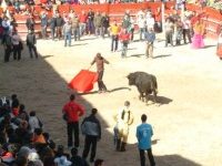 Navasfrias - Ciudad Rodrigo, carnaval del toro, Carteles de los festivales taurinos de sábado y martes de Carnaval