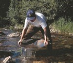 Bateando en busca de oro en los Barrancones