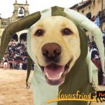 Ciudad Rodrigo, Avance del Programa del carnaval del toro 2012