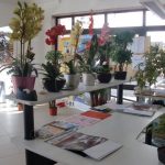 Exposition de plantes artificielles dans les Foios Civic Center