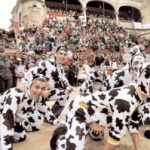 Bull Carnaval Ciudad Rodrigo, Basis for the costume contest, mood floats and costume groups street