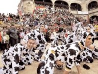 Navasfrias - Carnaval del toro Ciudad Rodrigo, Bases para el concurso de disfraces, carrozas grupos de humor y disfraz callejero