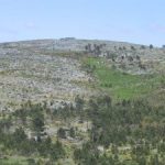 Étude de la morphologie de la Sierra de granit des tableaux / Etude de la morphologie des tableaux de granit Sierra