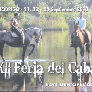 feria-del-caballo-ciudad-rodrigo feria-del-caballo-ciudad-rodrigo