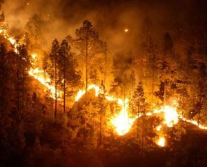 incendio valverde del Fresno