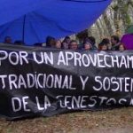 Navasfrias protesta corta de robles centenarios en Genestosa