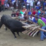 encierro y toro prueba Aldeia Velha 2013