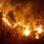 Incendie dans le Lageosa (Portugal)