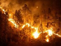 Navasfrias - Incendio en la Lageosa (Portugal)