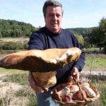 Navasfrias start coming in the BOLETUS