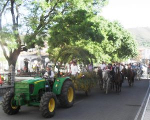 romeria2