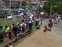 Navasfrias - Navasfrias encierro San juan 2014