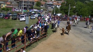 encierro Navasfrias, encierro 2014