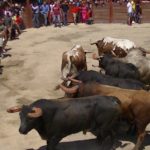 Encierro Aldeia do Bispo 2014