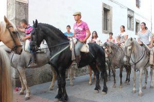 Un Revolera cheval d'itinéraire