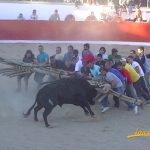 Aldeia da Ponte  Tourada Abril 2015