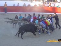 Navasfrias - Aldeia da Ponte  Tourada Abril 2015