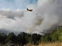 Navasfrias - Incendio Sierra de Gata