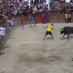 Aldeia do Bispo 2015 Catching bull test