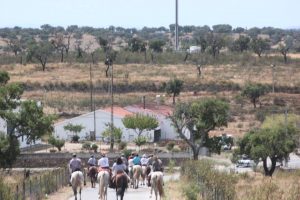 amigos do cavalo Aso 2