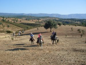 Aso amigos caballo 3