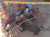 Navasfrias - Foios 2015 impactante imagen del toro y el forcon