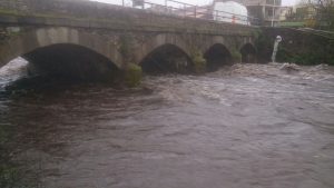 Rio Agueda submergé