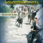 Navasfrias cartel San Juan 2016