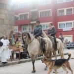 Procesión San Anton patrón animales