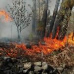 Navasfrias fuego en Mata guarda