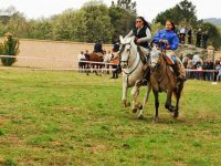 Navasfrias - A Revolera ruta a caballo 22 Abril