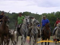 Navasfrias - GALERIA FOTOS SAN JUAN 2017