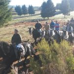 Associação Amigos de Cavalo "A Revolera"