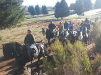 Navasfrias - Asociación Amigos de Caballo  “A Revolera”