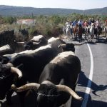 Eljas celebrates its festivities