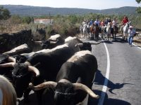 Navasfrias - Eljas celebra sus fiestas patronales